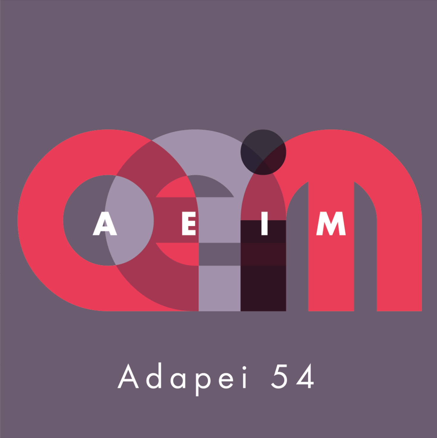 AEIM Adapei 54